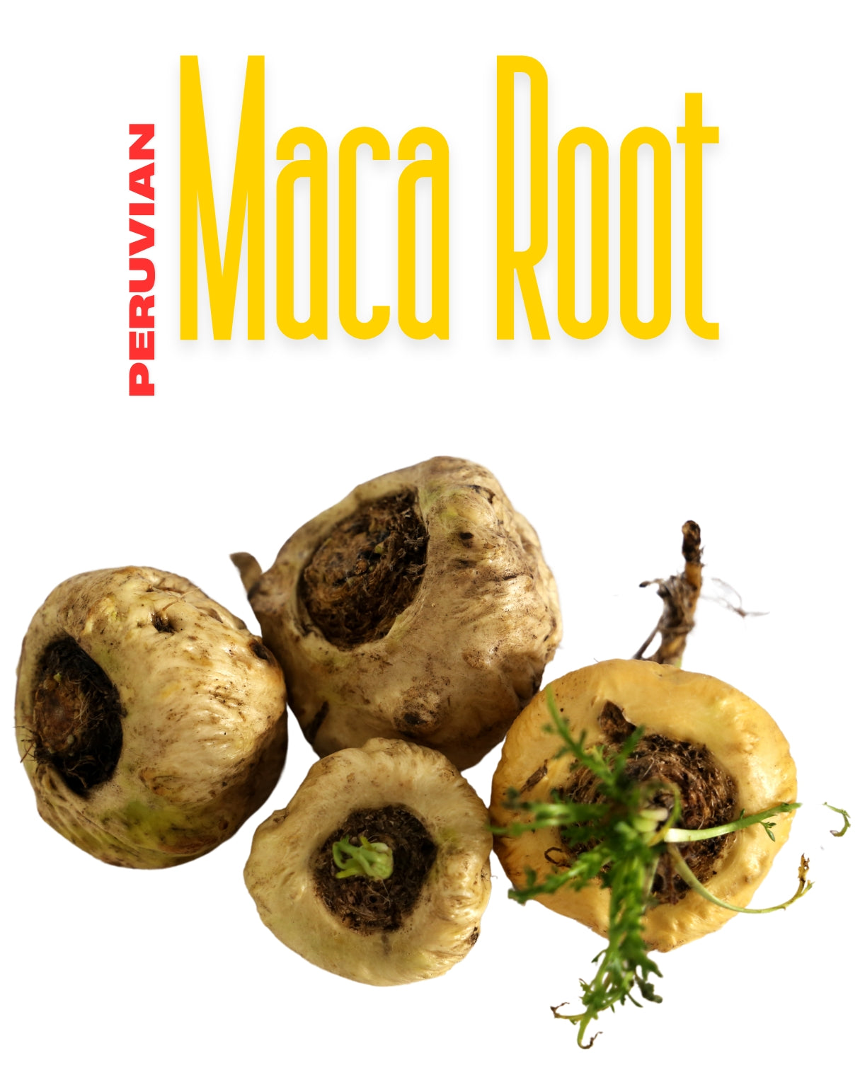 Maca Root Powder in Emerald Nutrition