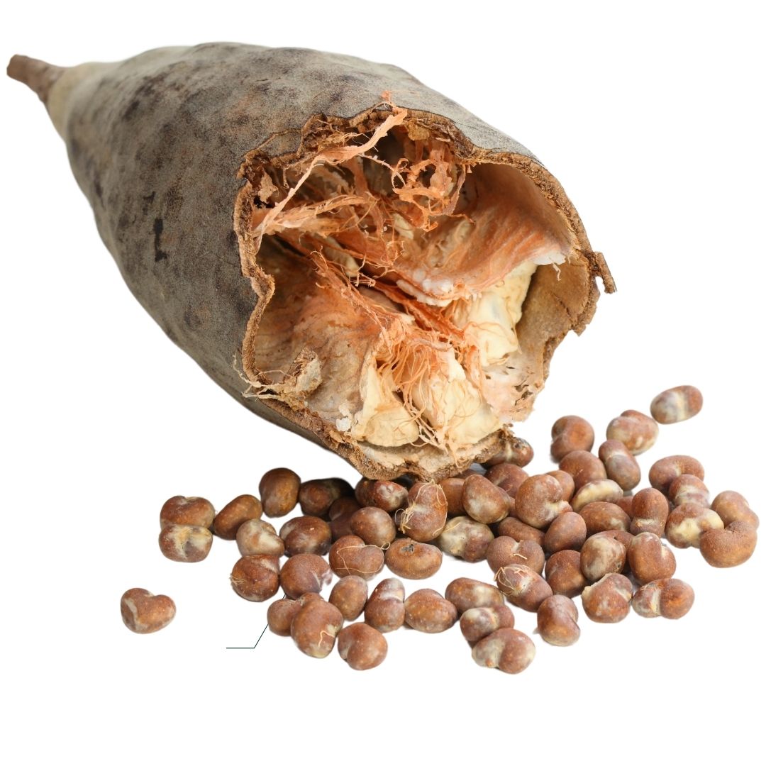 Baobab Fruit Pulp