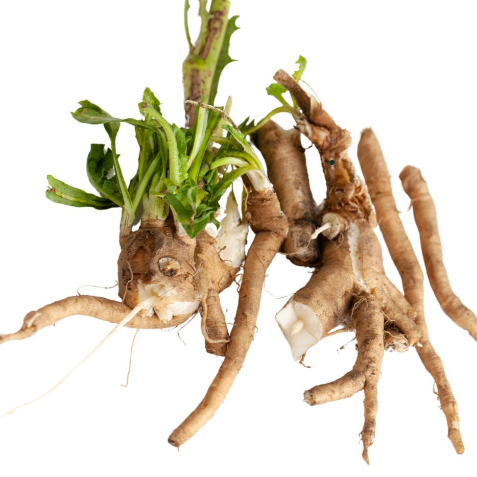 Chicory Root Inulin