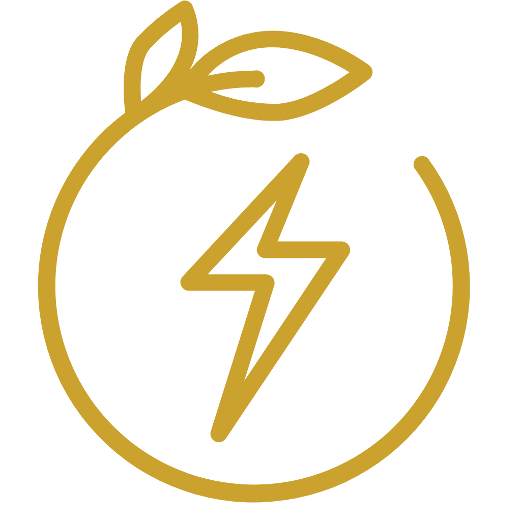 Gold lightning bolt symbol inside a circle on a white background