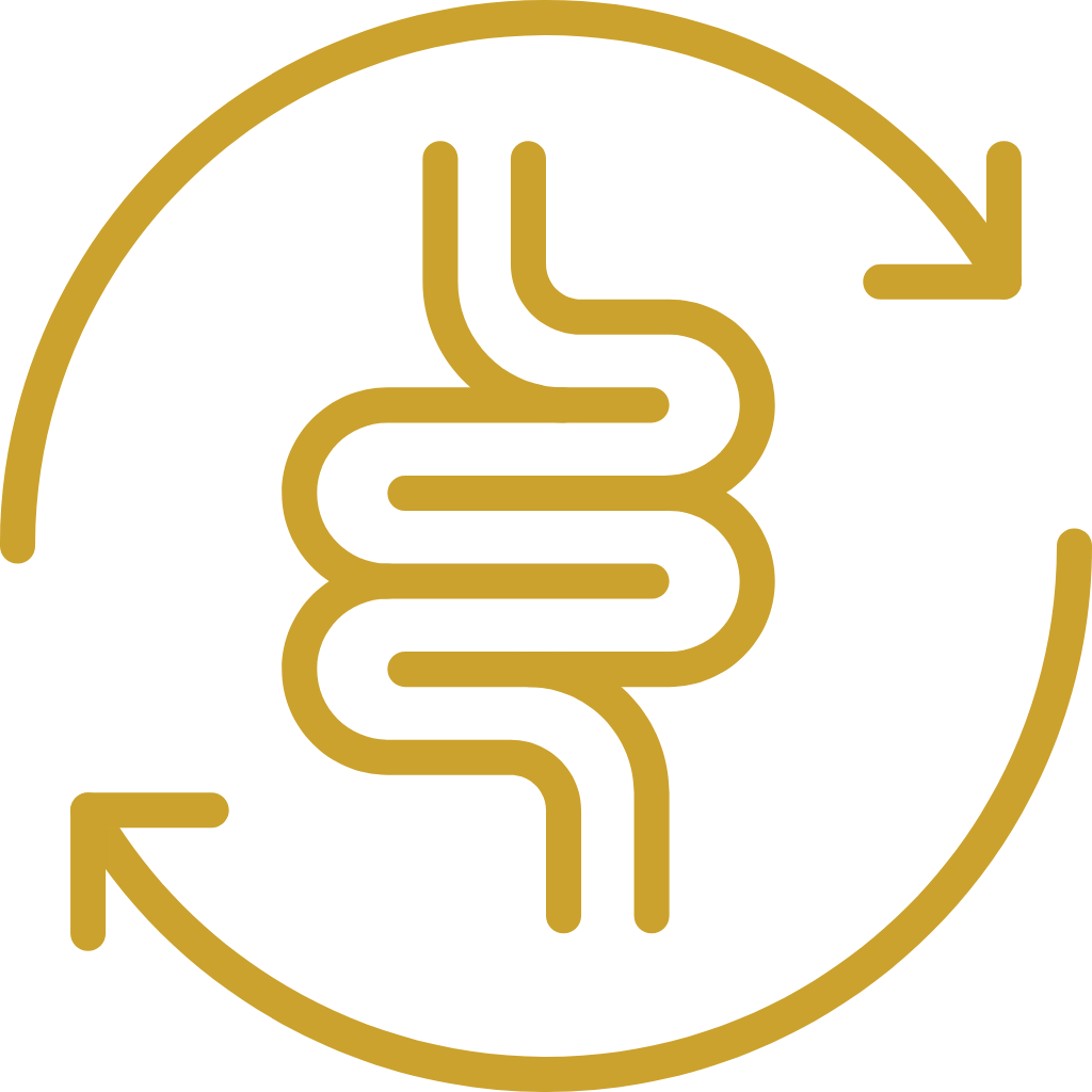 Gold icon of a digestive system with arrows on a white background