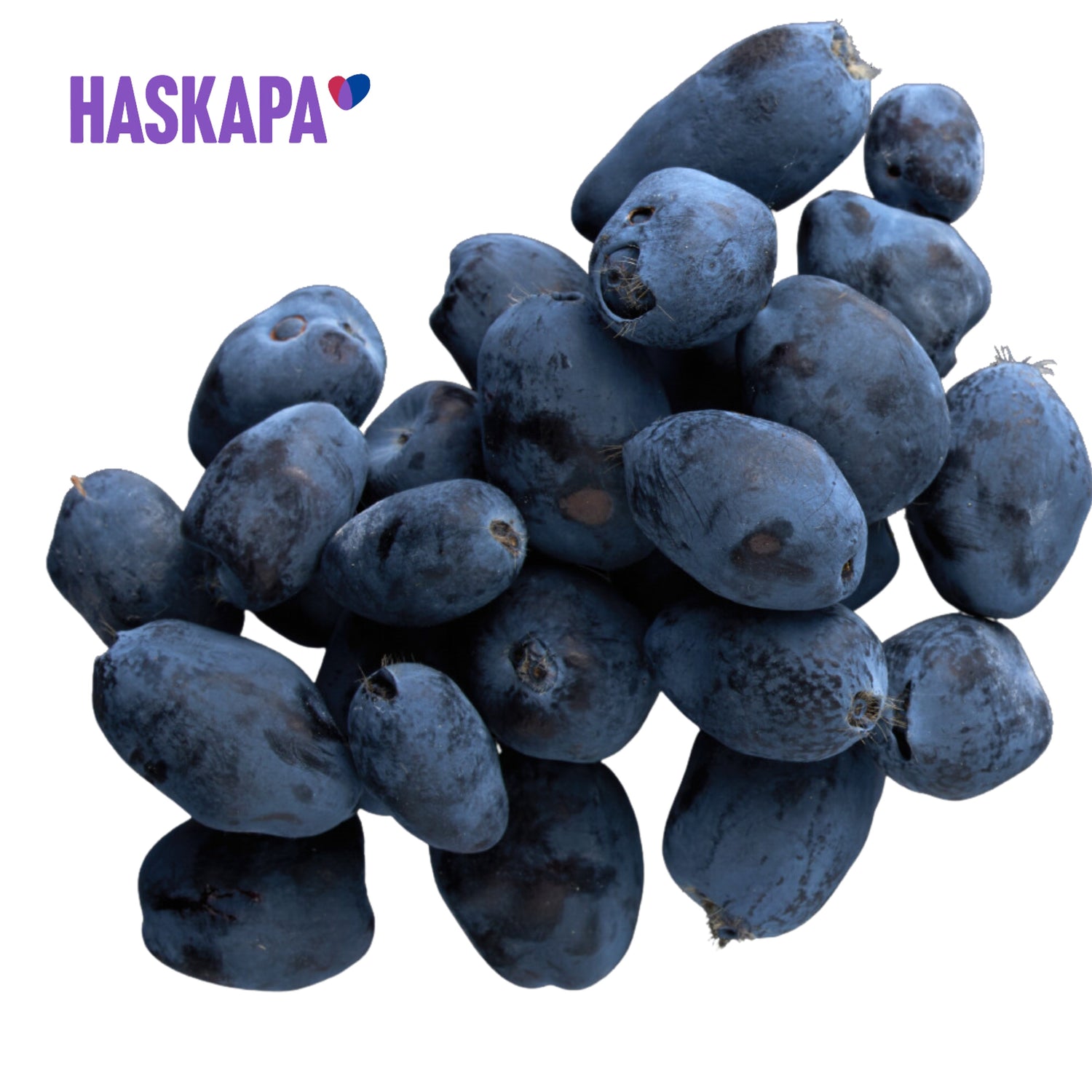 Haskapa - Haskap berries in Emerald Nutrition