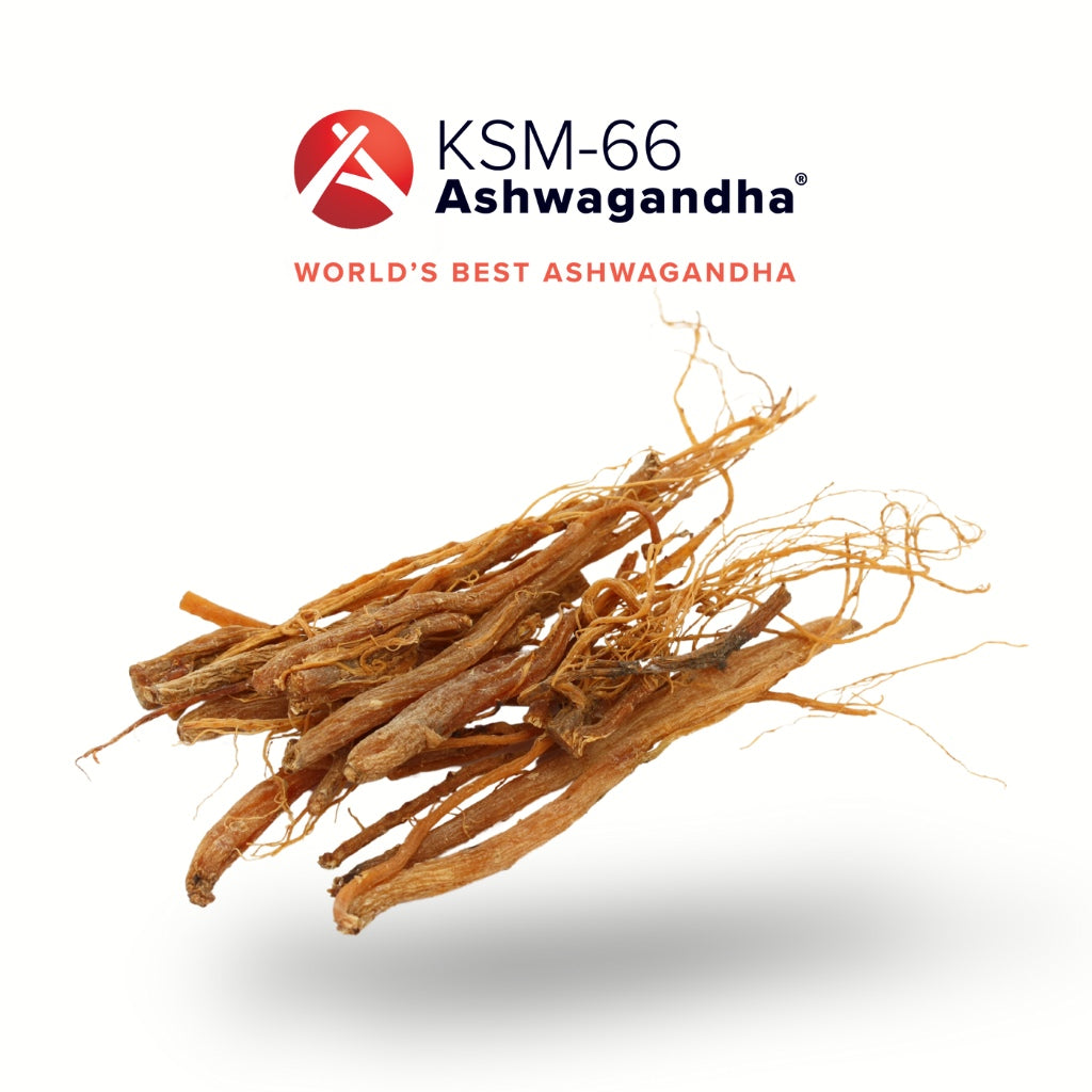 KSM-66 Ashwagandha roots on a white background with KSM-66 logo above.