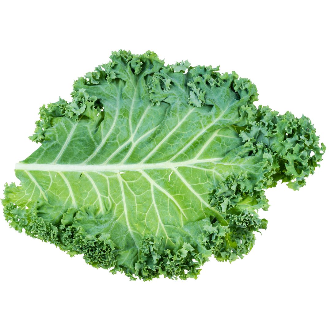 Kale leaf in Emerald Nutrition