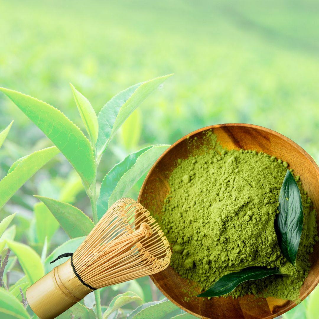Image of matcha tea leaf powder in Emerald Nutrition