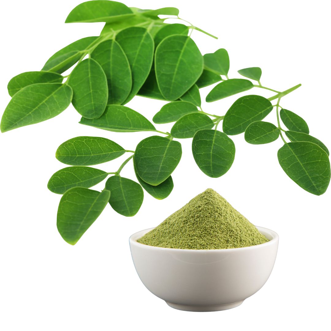 Moringa Oleifera Leaf