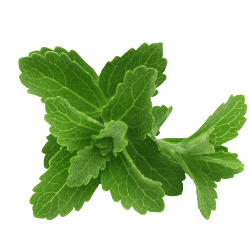 Steviol Glycosides from Stevia