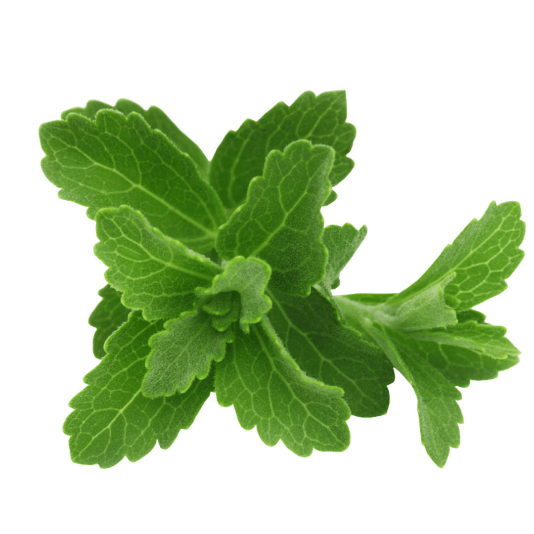 Steviol Glycosides from Stevia