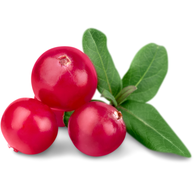 Cranberry Extract