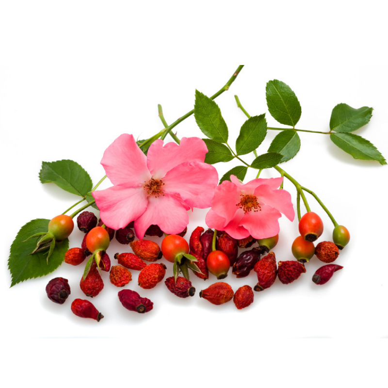 Rosehip Extract