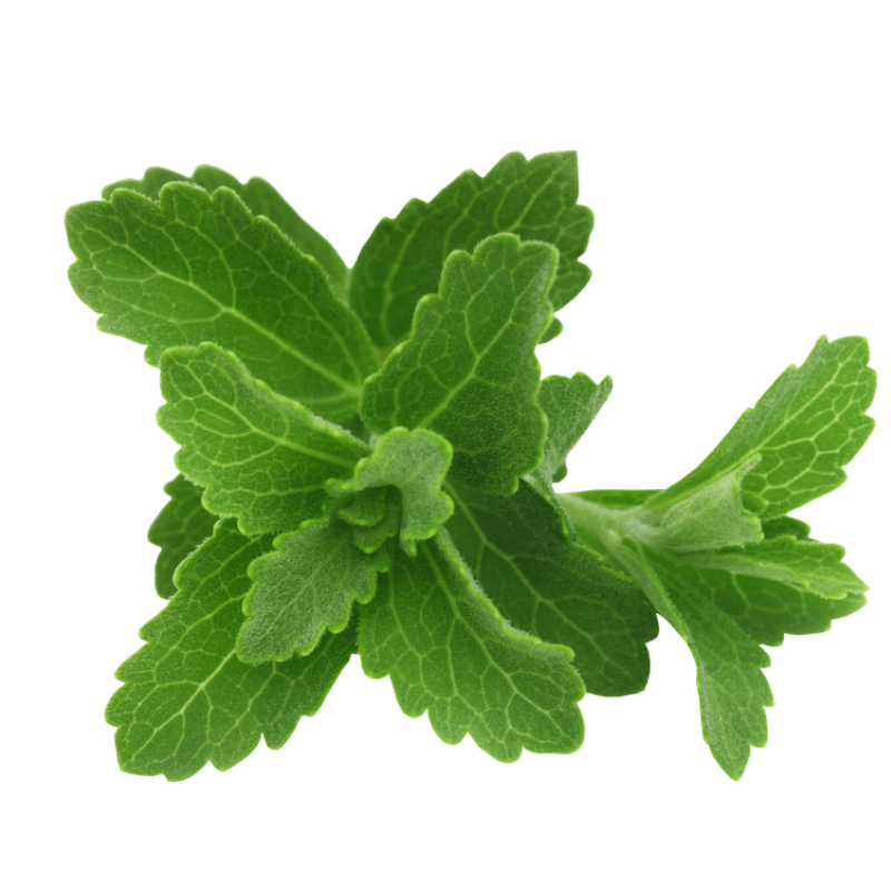 Steviol Glycosides from Stevia