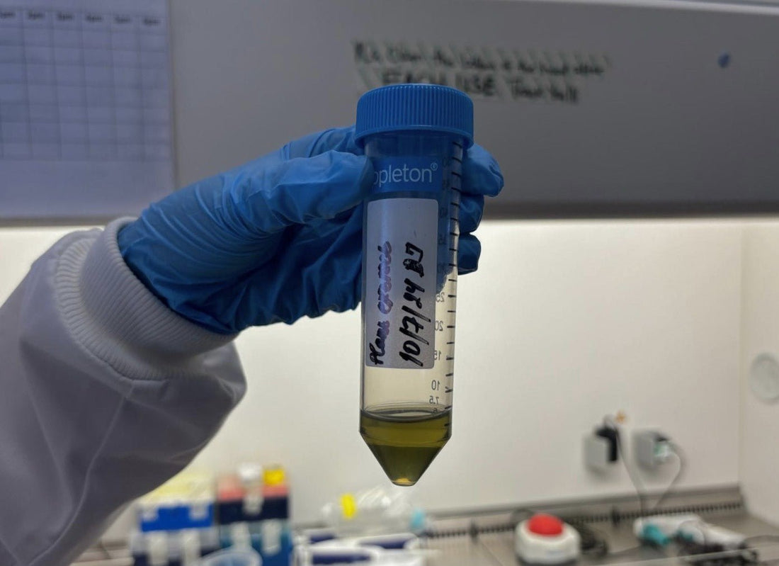 SUPERGREENS RESEARCH WITH DE MONTFORT UNIVERSITY, UK - Emerald Nutrition