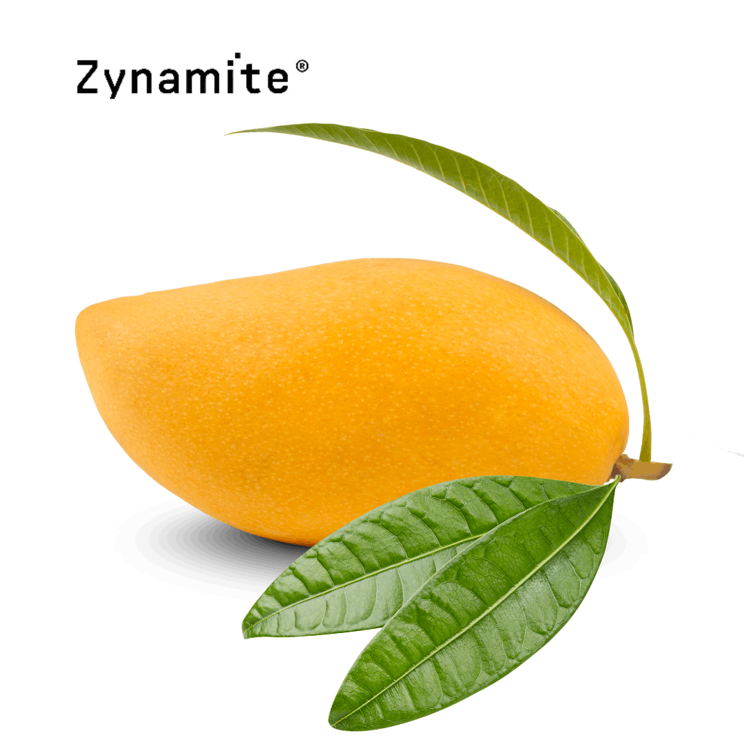 What Is Zynamite®? The Mango Leaf Extract, Explained - Emerald Nutrition