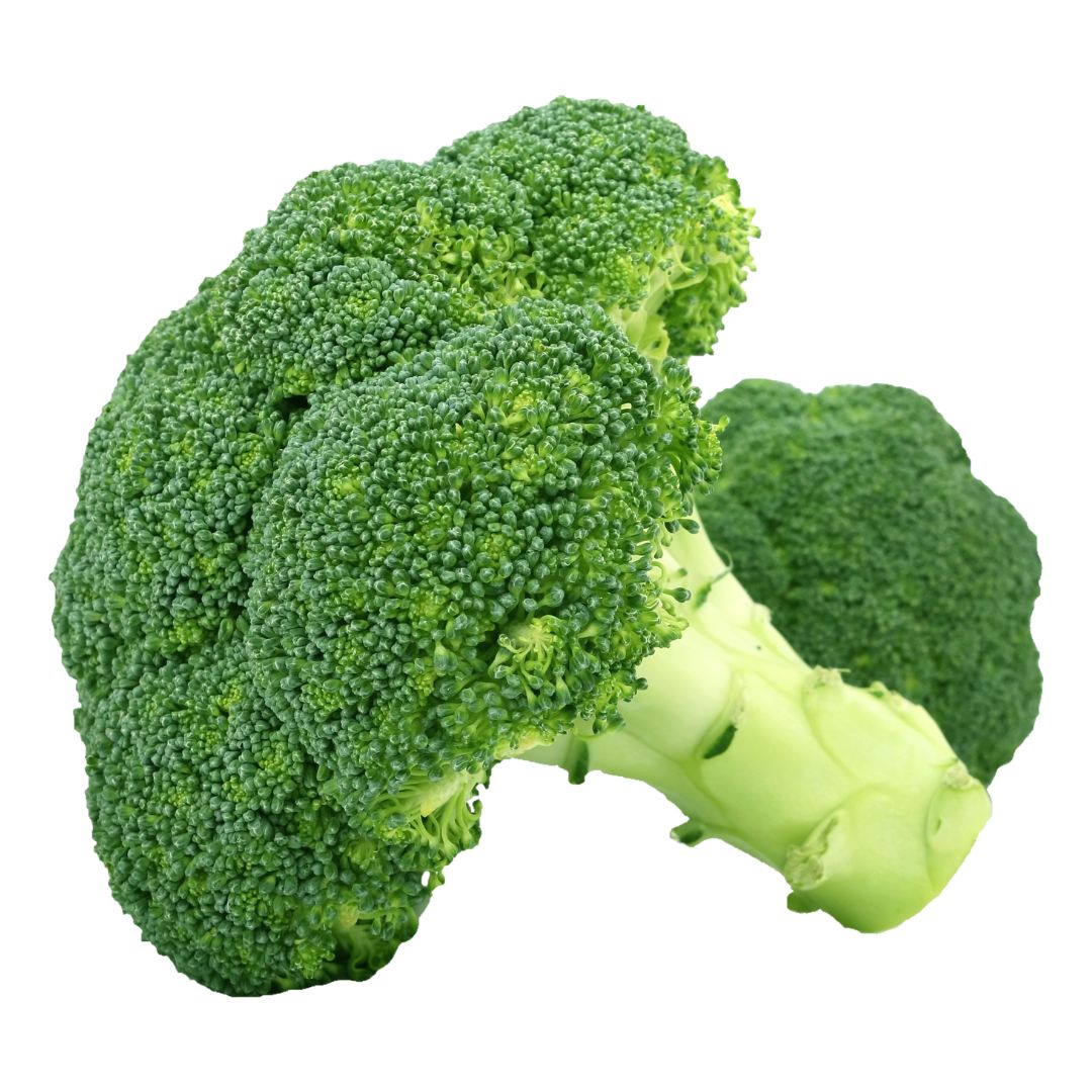 Broccoli powder in Emerald Nutrition