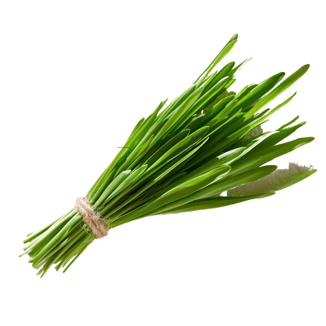 Barley grass in Emerald Nutrition