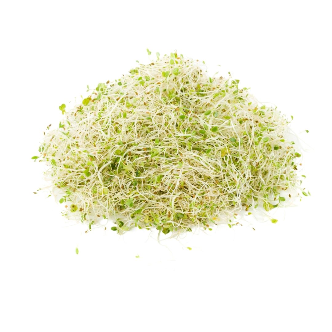 Alfalfa in Emerald Nutrition