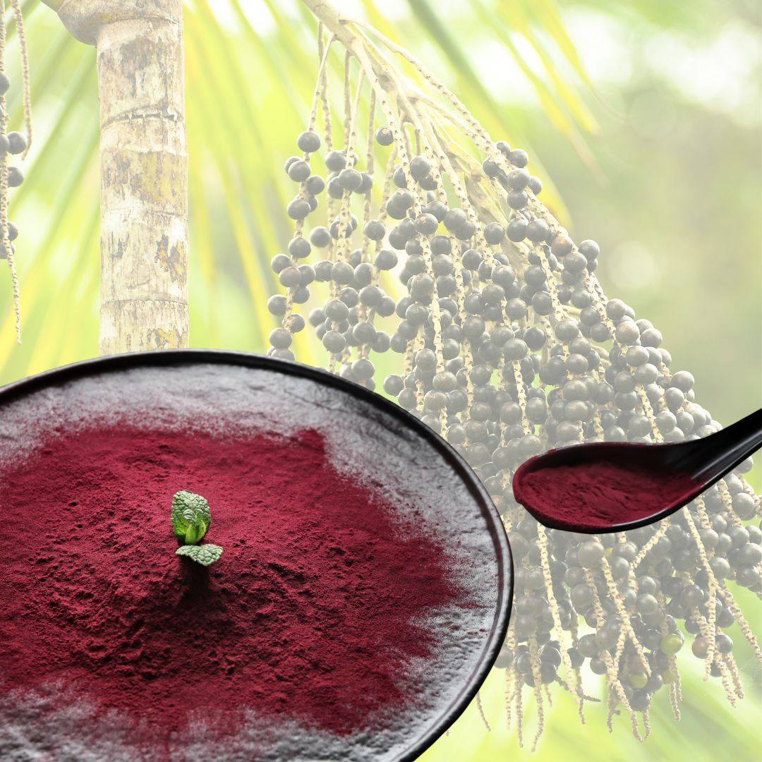 Acai berries in Emerald Nutrition