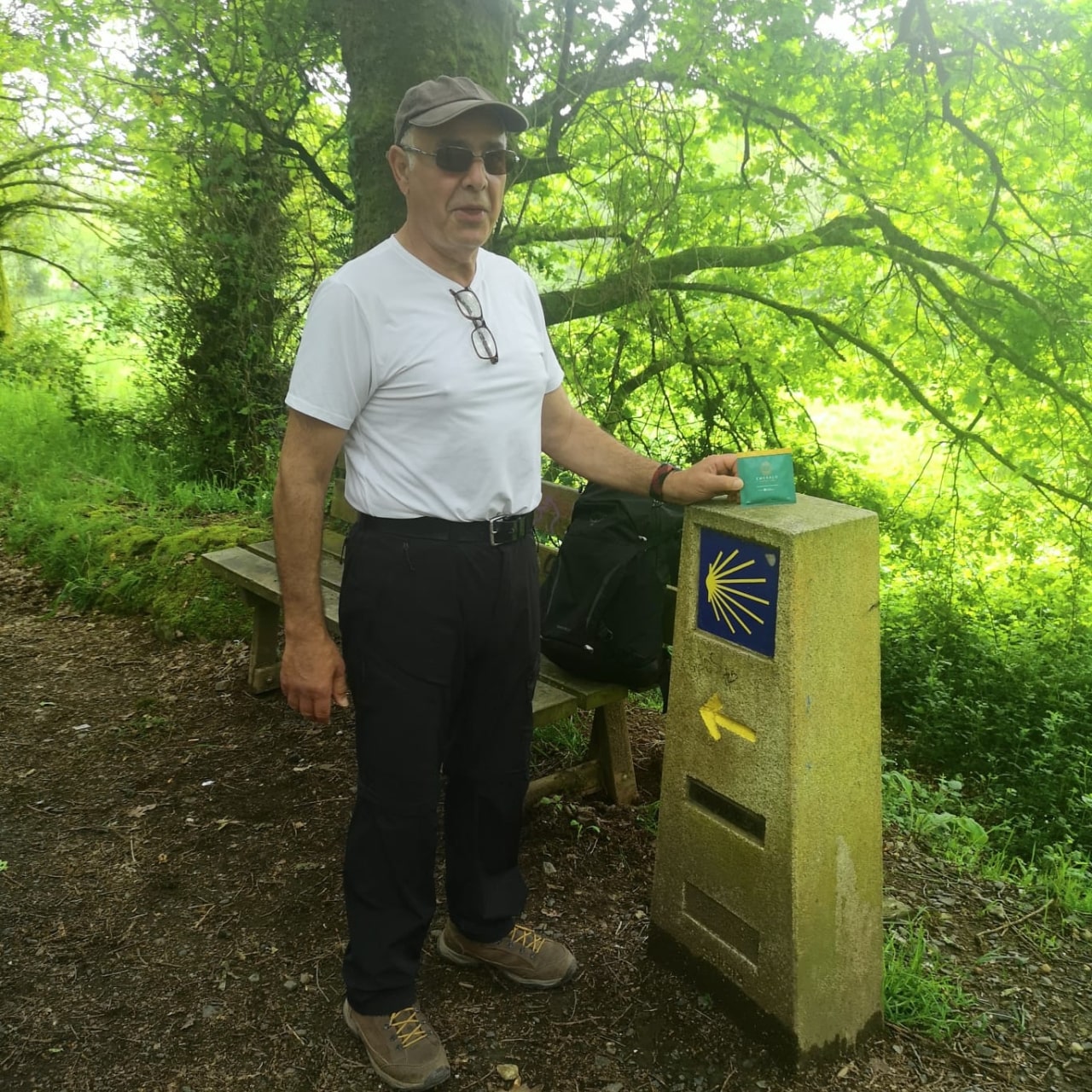 Man standing next to a wooden post with a blue and yellow emblem in a forest setting