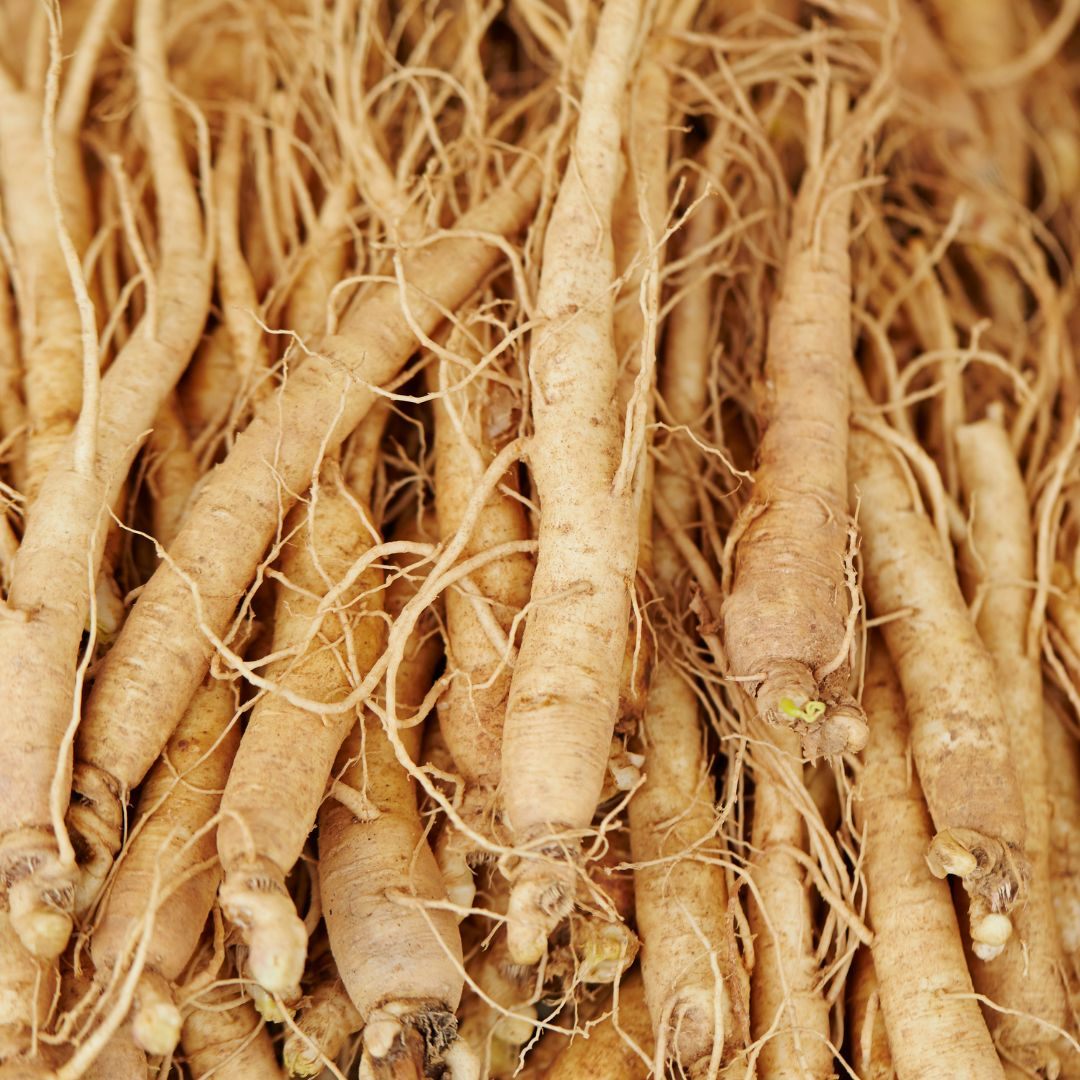 Panax Ginseng in Emerald Nutrition
