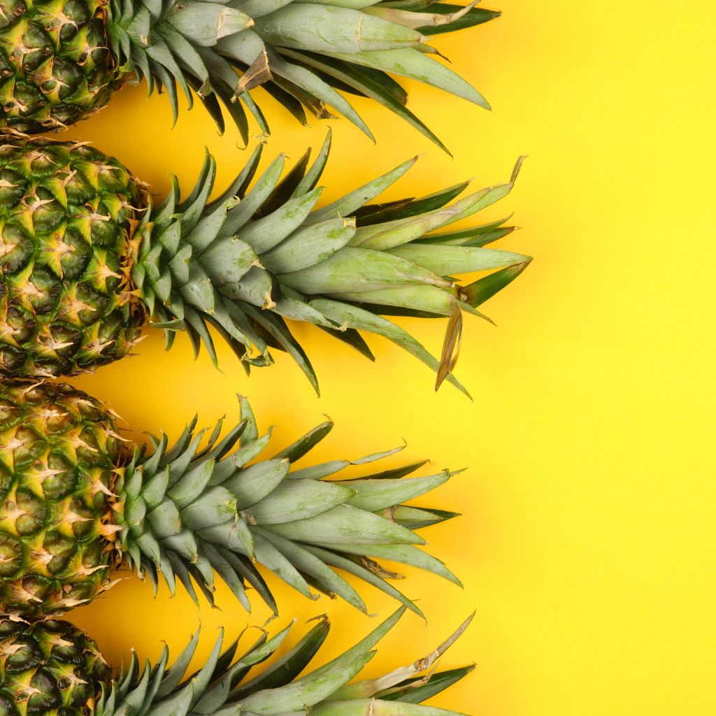 Gut Health in Emerald Nutrition