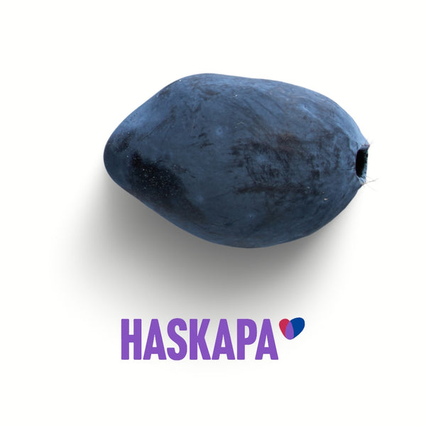 Haskapa® Haskap Berry