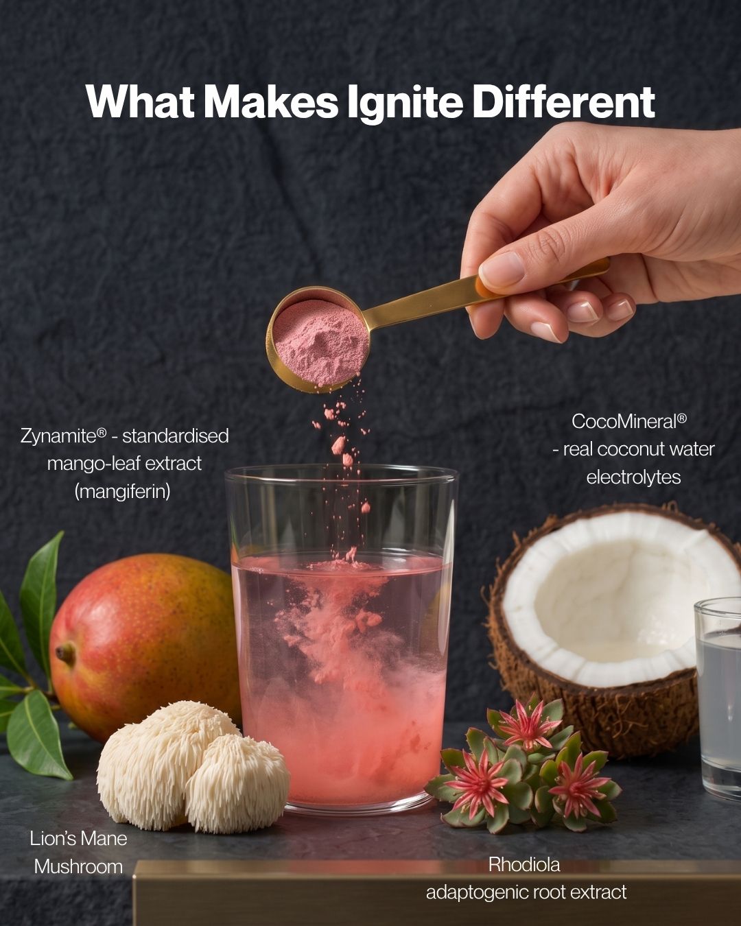 A hand holds a small gold spoon above a glass of pink powder, with text overlays explaining ingredients like Zymate, CocoMineral, Lion's Mane Mushroom, Rhodiola, mango, and coconut. The scene is styled on a dark textured background with a mango, lion's mane mushrooms, and succulents.