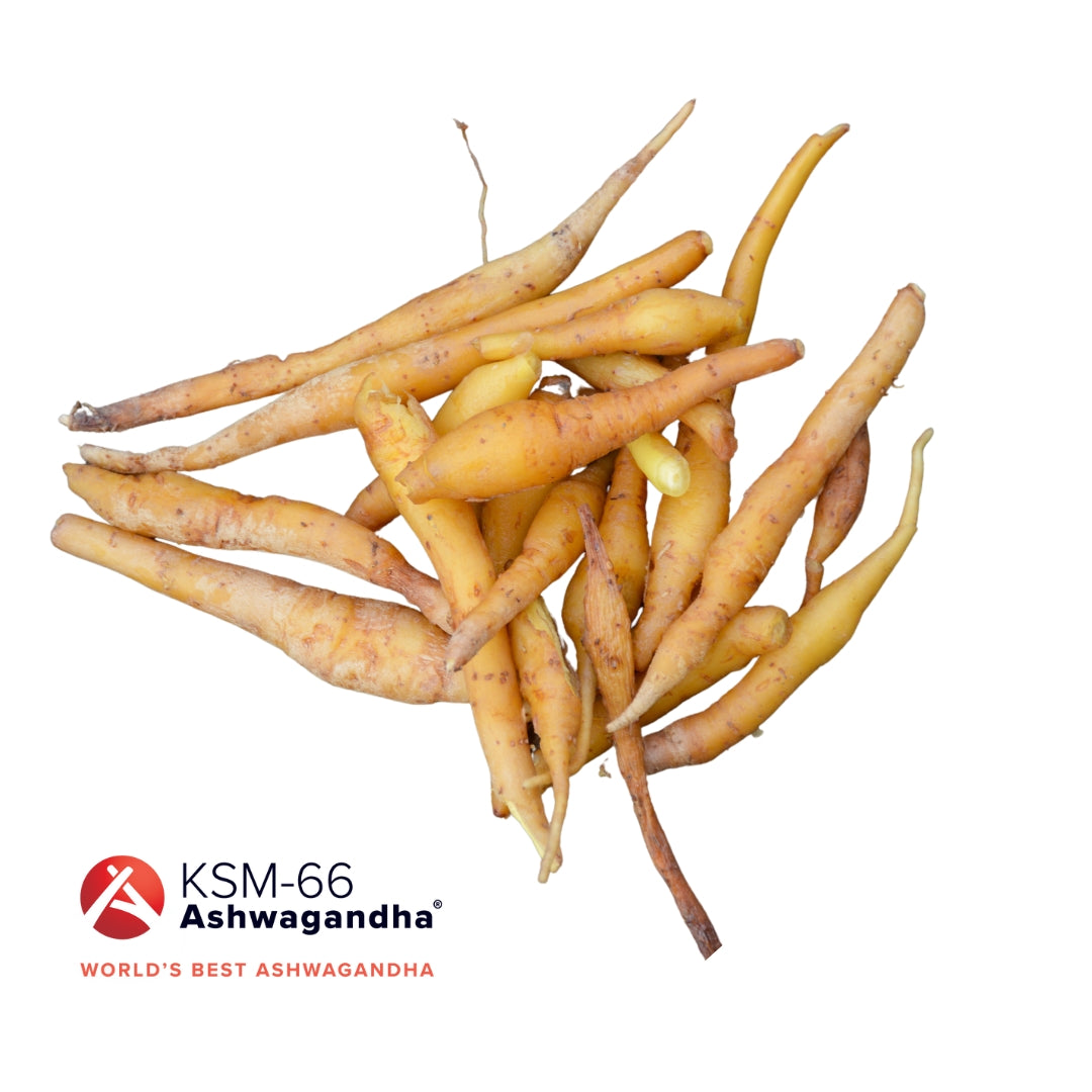 Ashwaganda from KSM-66 in Emerald Nutrition