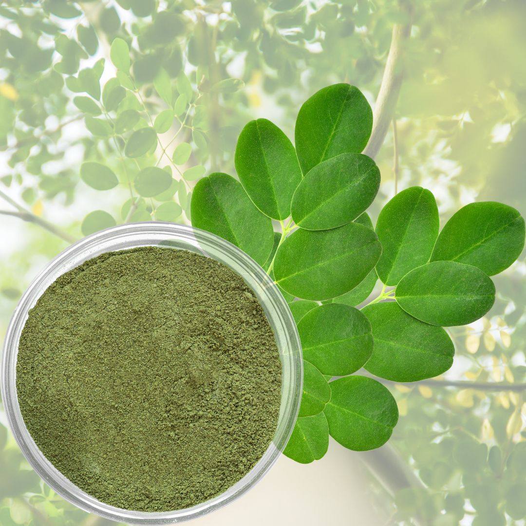 Moringa Leaf extract in Emerald Nutrition
