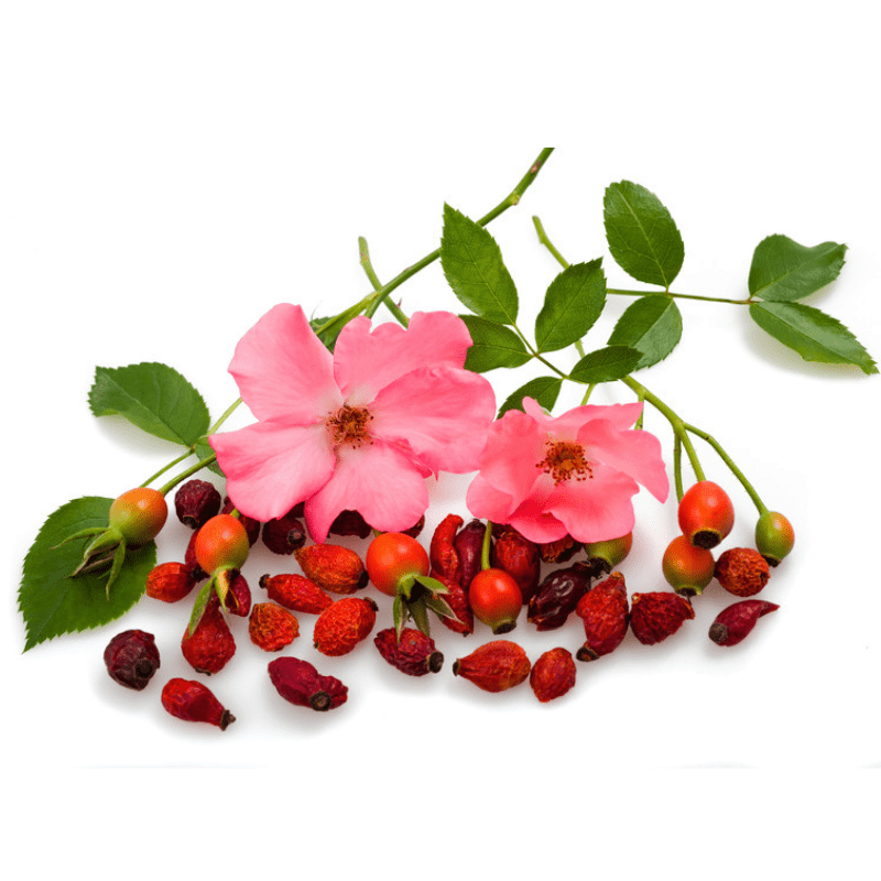 Rosehip Extract