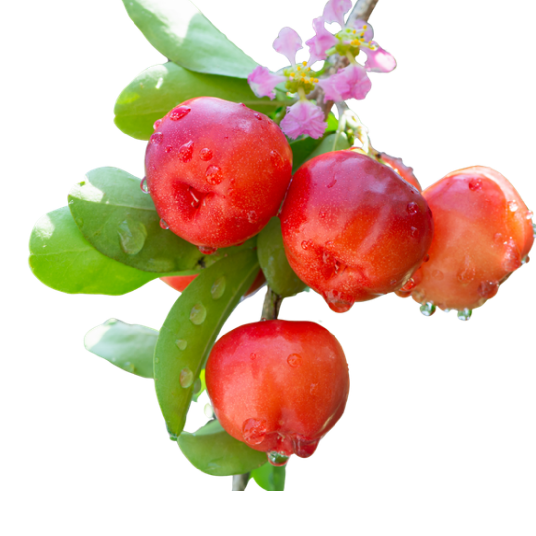 Acerola Blend