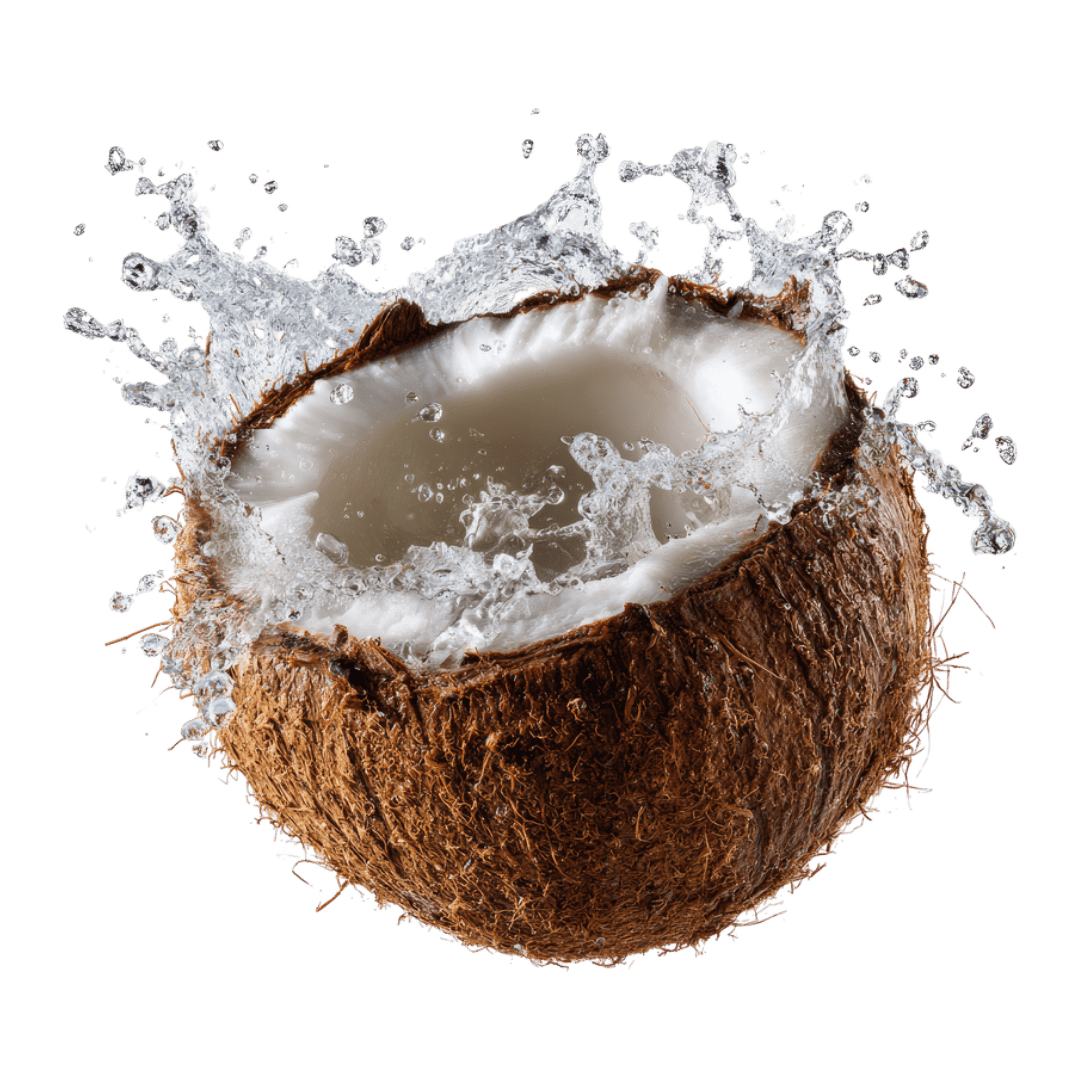 CocoMineral Coconut Water Powder