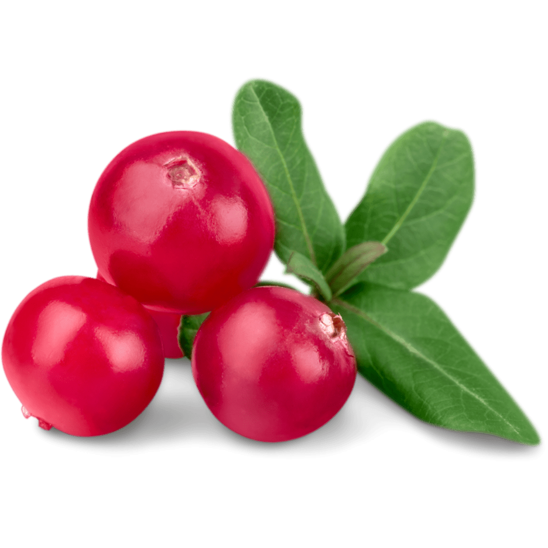 Cranberry Extract