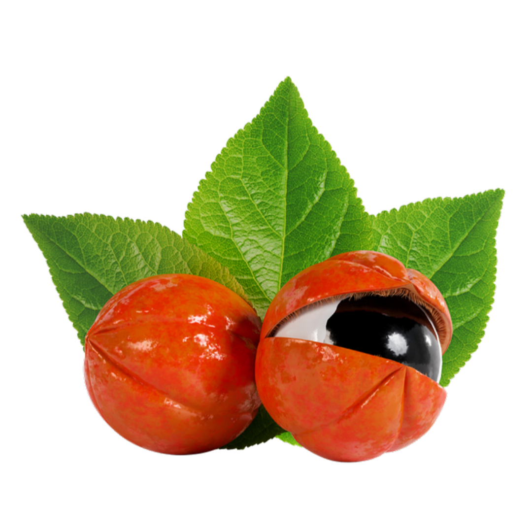 Guarana Extract