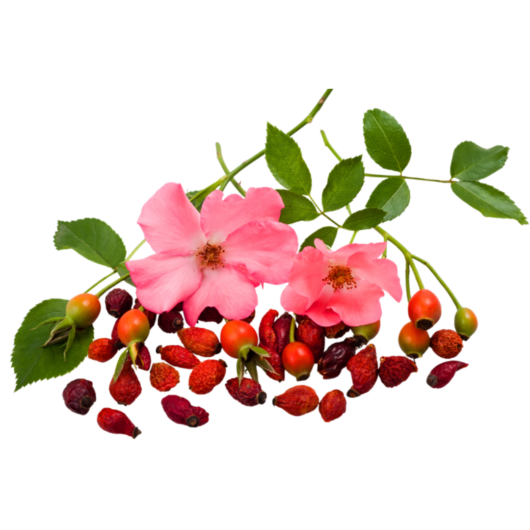 Rosehip Extract