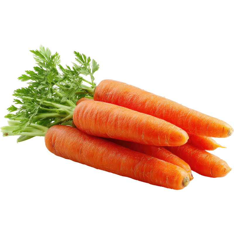 Carrot Powder